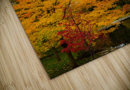 Autumn Gold Monica Roberts Photography puzzle