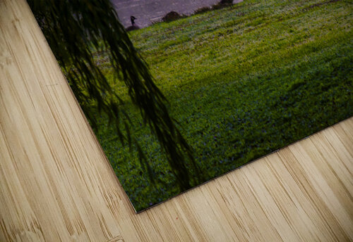 Purple Haze 01 Monica Roberts Photography puzzle