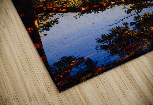 Abstract Autumn 01 Monica Roberts Photography puzzle