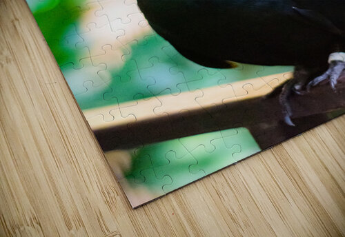 Bird Kingdom 01 Monica Roberts Photography puzzle