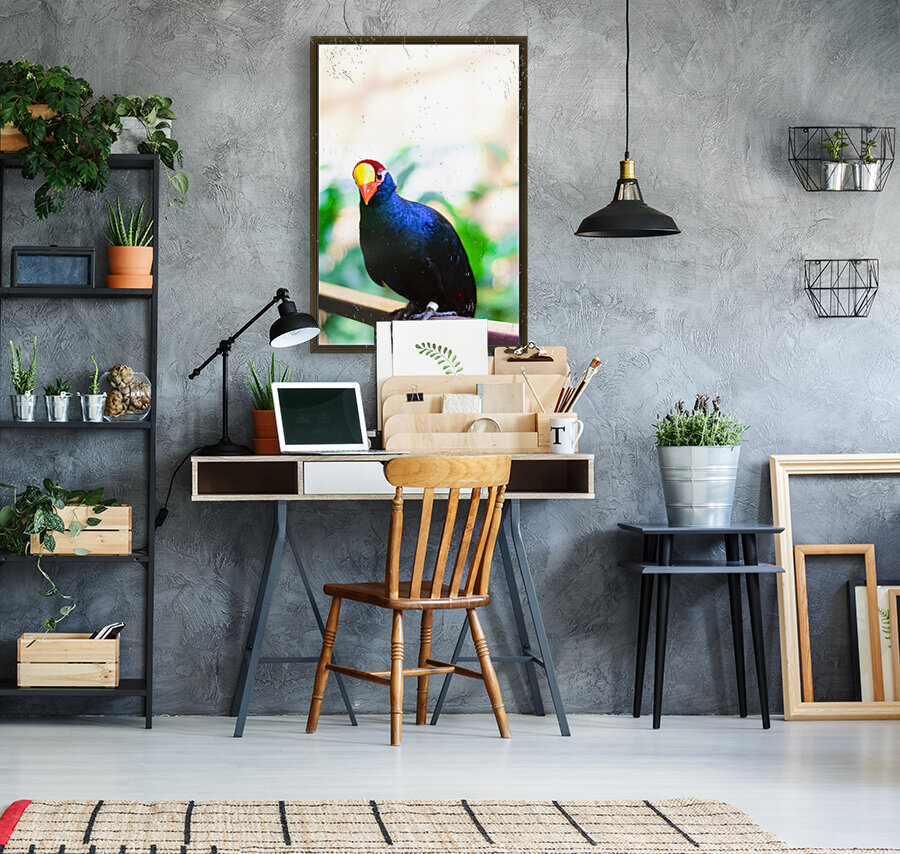 Bird Kingdom 01 Reproduction