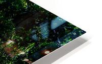River Canopy HD Metal print