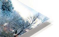Winter Magic on the River HD Metal print