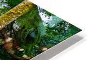 Blarney Gardens HD Metal print