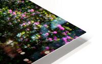 Rocky River Bed HD Metal print
