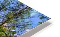 Light in the Sky HD Metal print