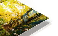 Path to Winter HD Metal print