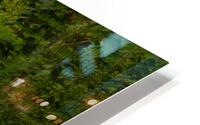 Early Autumn HD Metal print