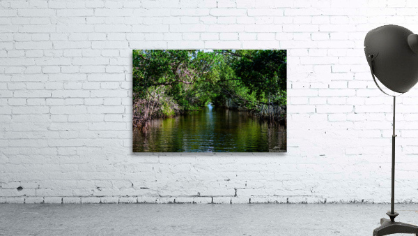 River Canopy Wall Preview