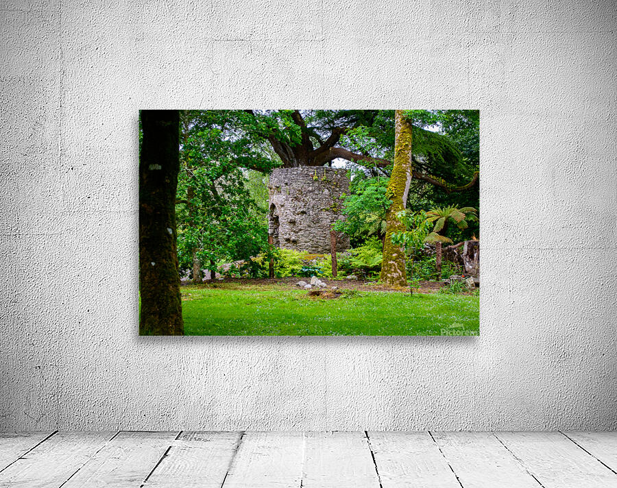 Blarney Gardens Wall Preview