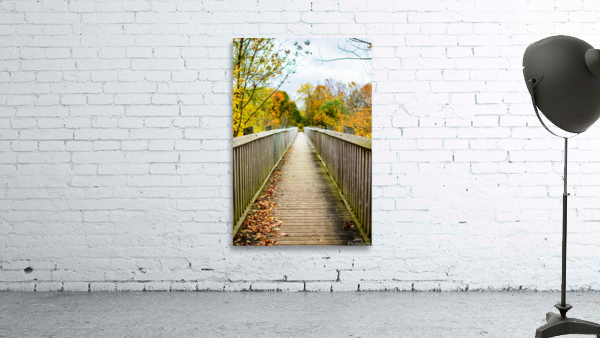 The Journey Wall Preview