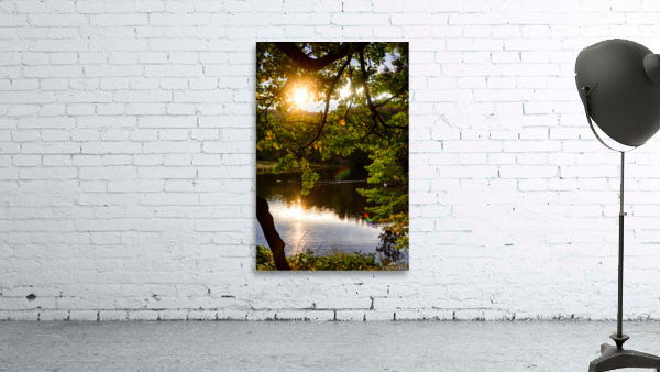 Shining Through at Harrison Park Wall Preview