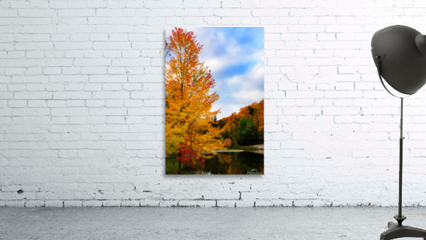 Autumn Gold Wall Preview