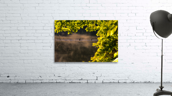 The Glimpse Wall Preview