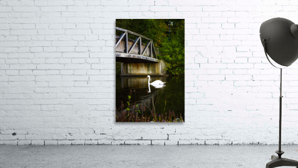 The Swan 01 Wall Preview