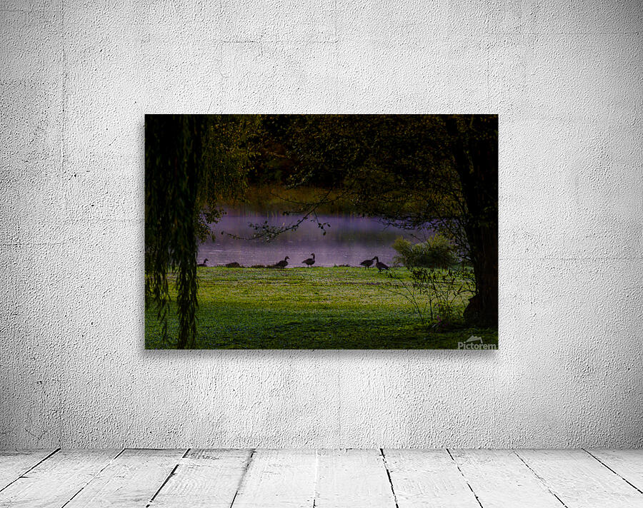 Purple Haze 01 Wall Preview
