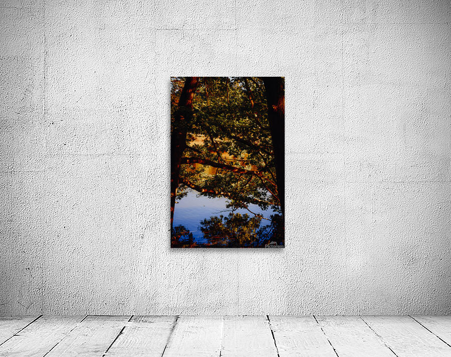 Abstract Autumn 01 Wall Preview