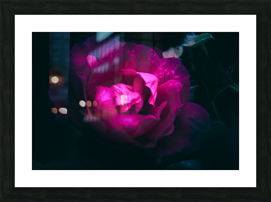 Rose Picture Frame Printing