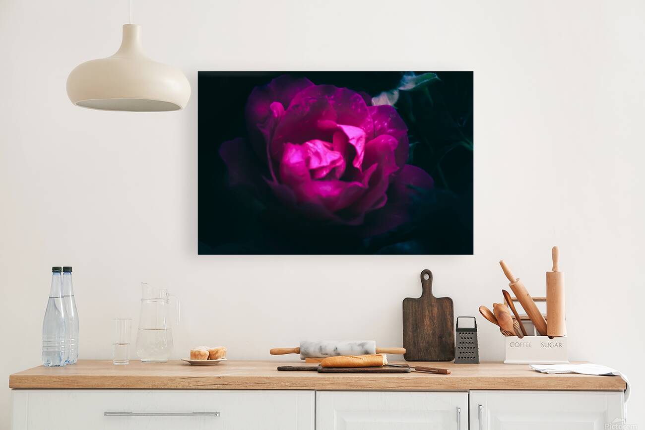 Rose Reproduction