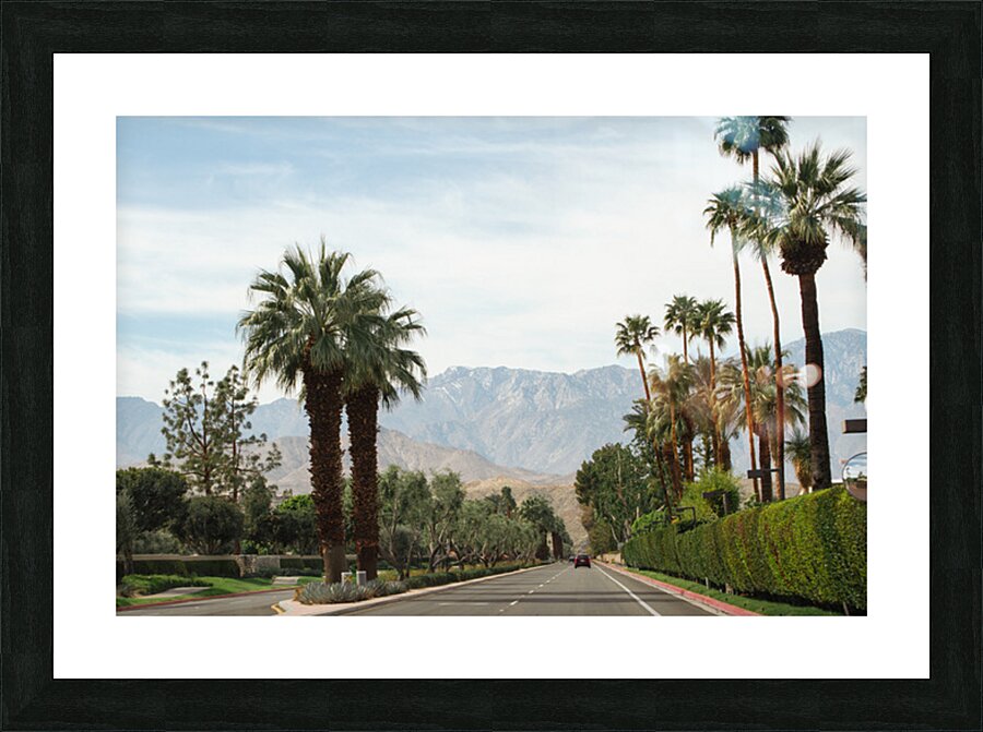 Palm Springs Drive Picture Frame print