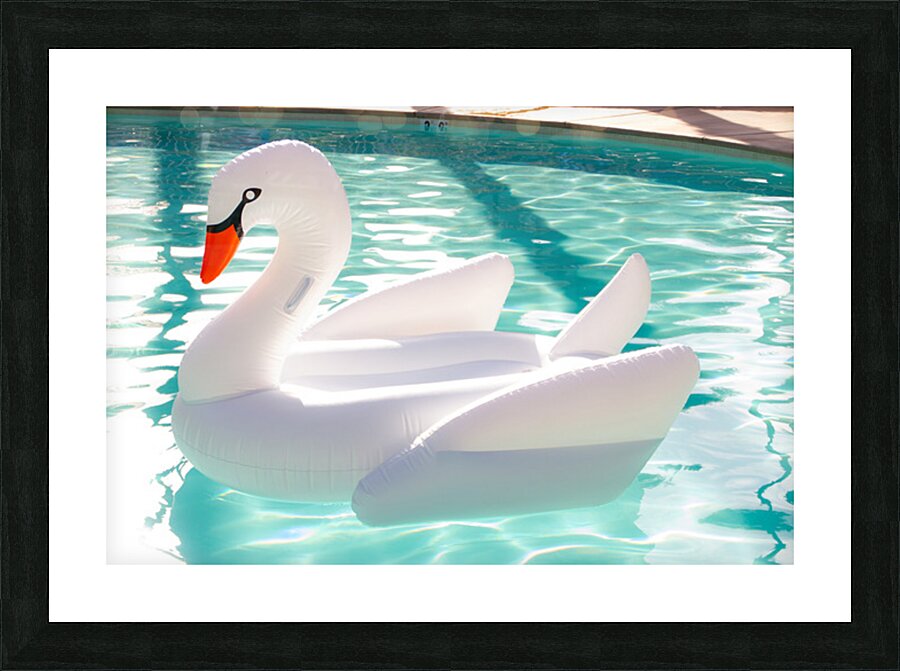 Swan Floatie Picture Frame print