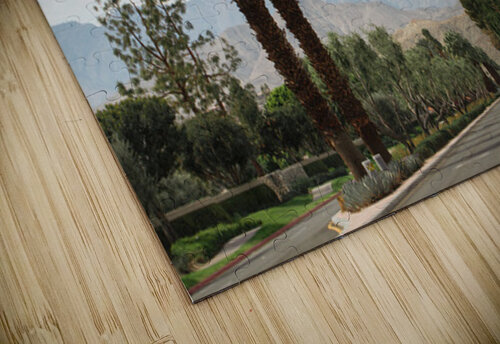 Palm Springs Drive Tegan Dow puzzle
