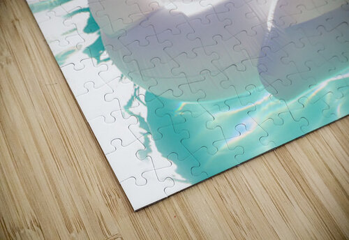 Swan Floatie Tegan Dow puzzle