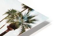Palm Springs Drive HD Metal print