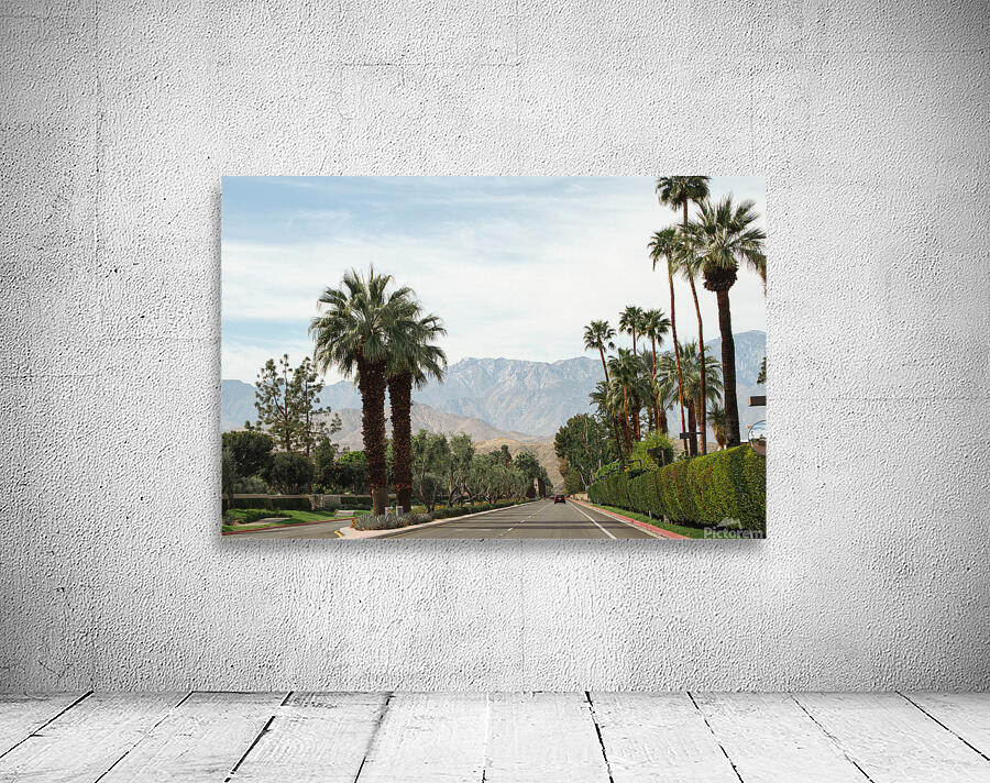 Palm Springs Drive Wall Preview