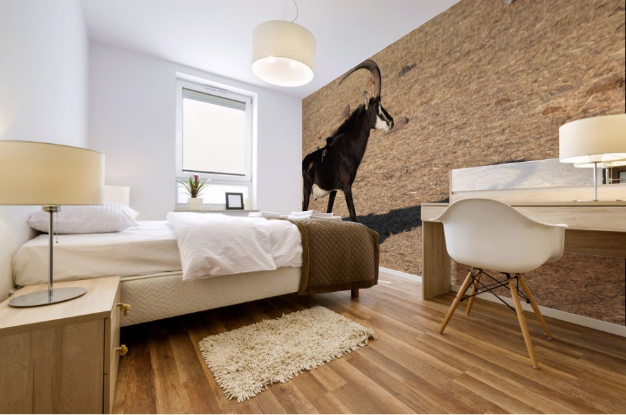 1110 - Sable antelope Mural print