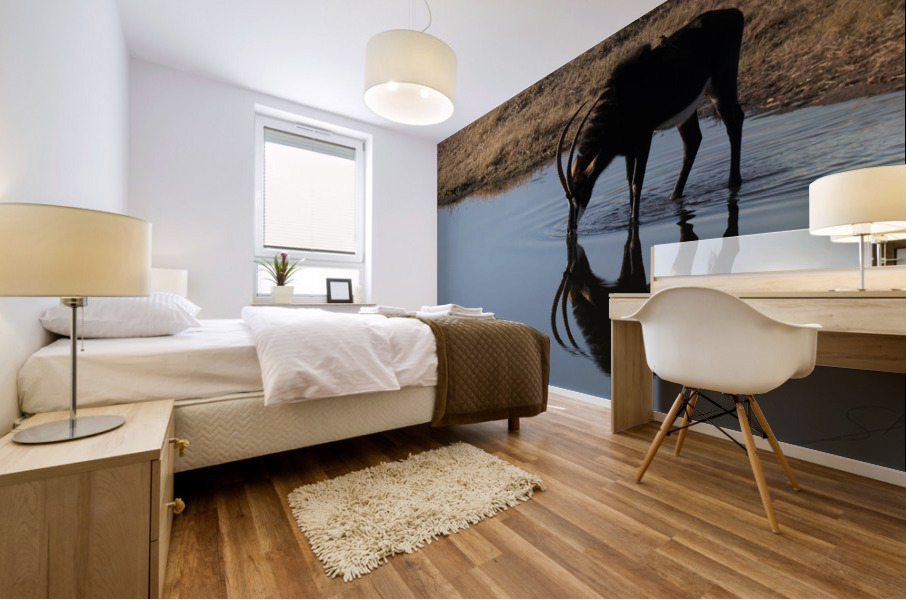 1105 - Sable antelope  Mural print