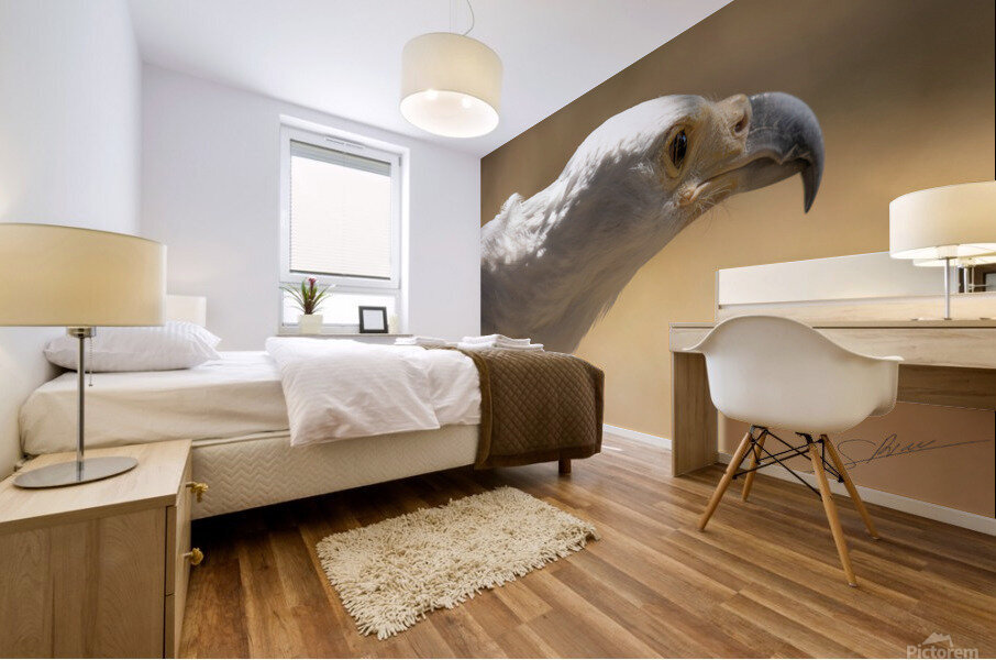 1094 - African fish eagle Mural print