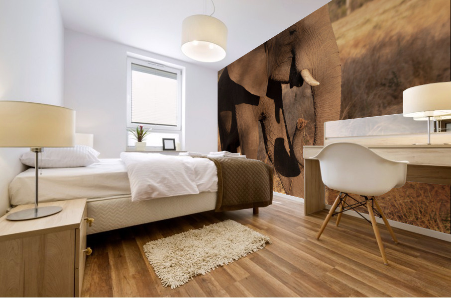 1119 - Elephant Mural print