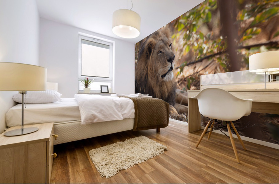 1090 - Lion Mural print