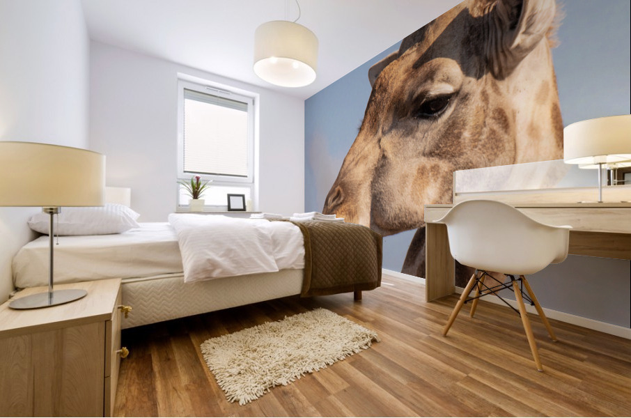 1161 - Giraffe  Mural print
