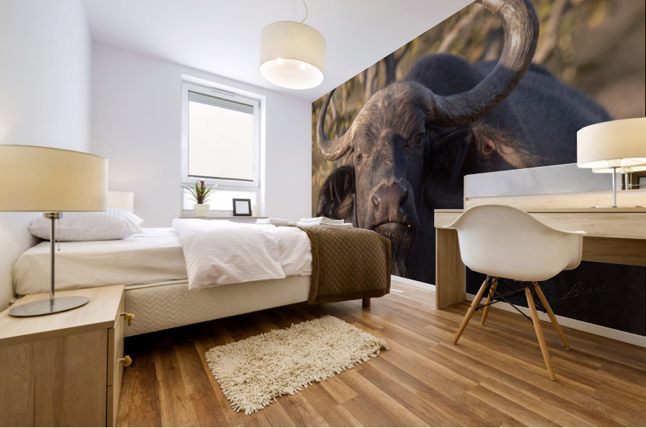 1150 - Buffalo Mural print