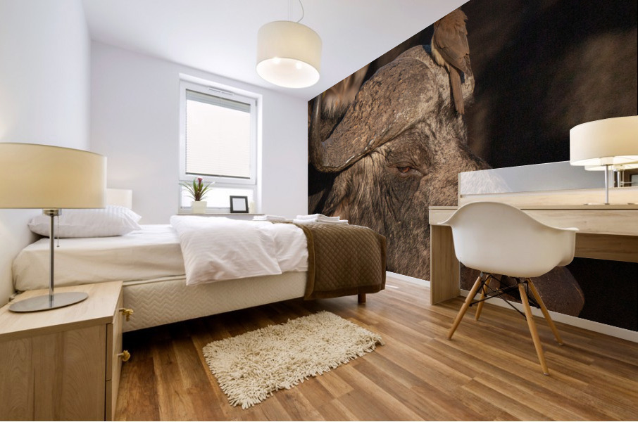 1149 - Buffalo Mural print