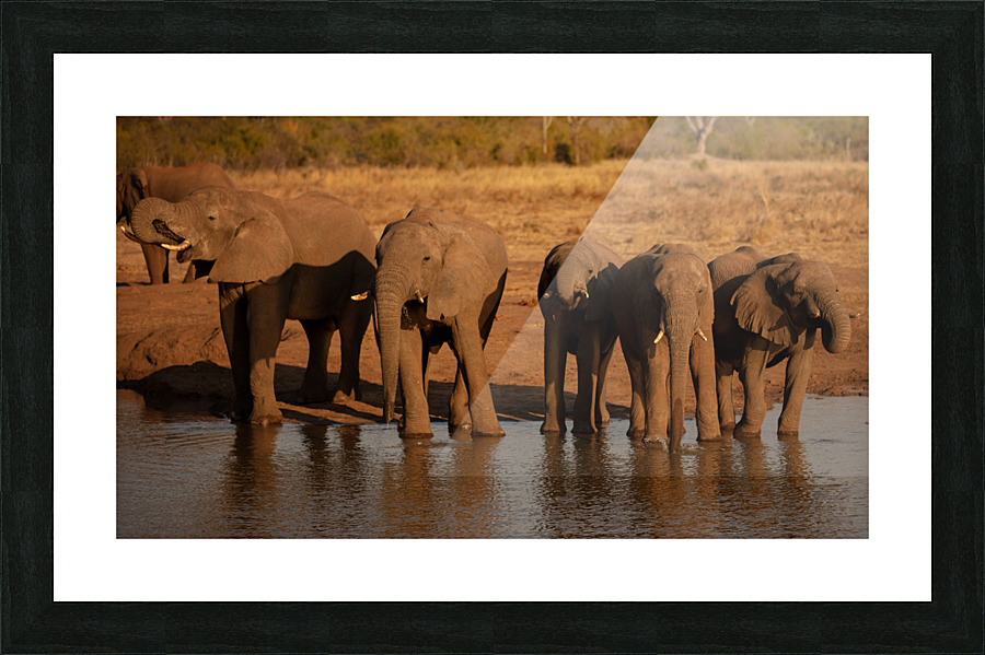 1125 - Drinking time together 2 Picture Frame print