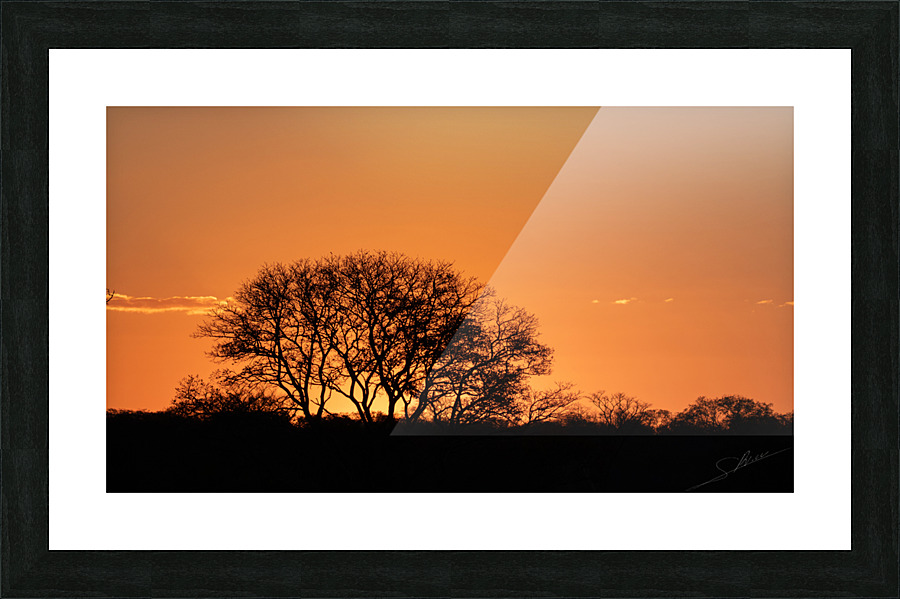1145 - Sunset  Picture Frame print