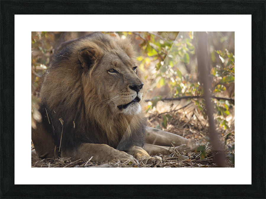 1611 - Relax Picture Frame print