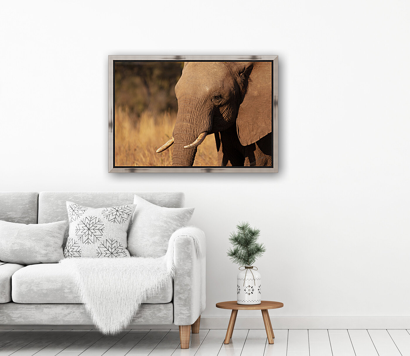1122 - Single Elephant Reproduction