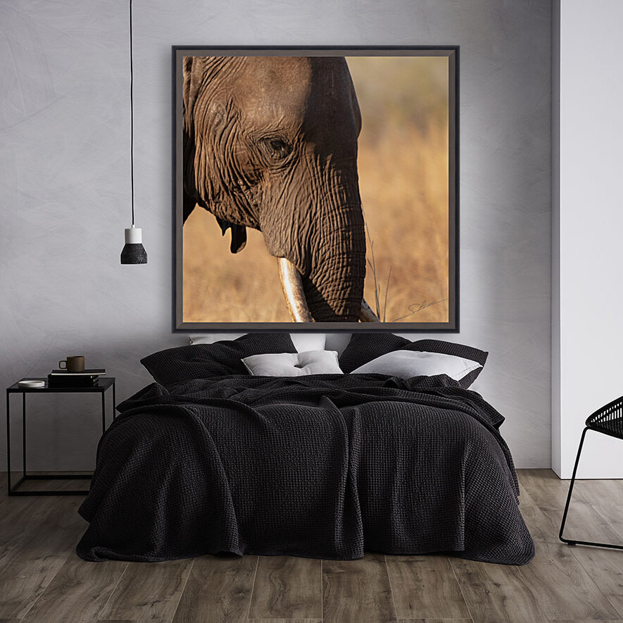 1118 - Elephants  Reproduction