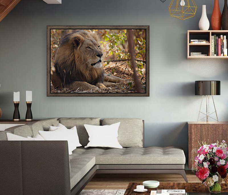 1090 - Lion Reproduction