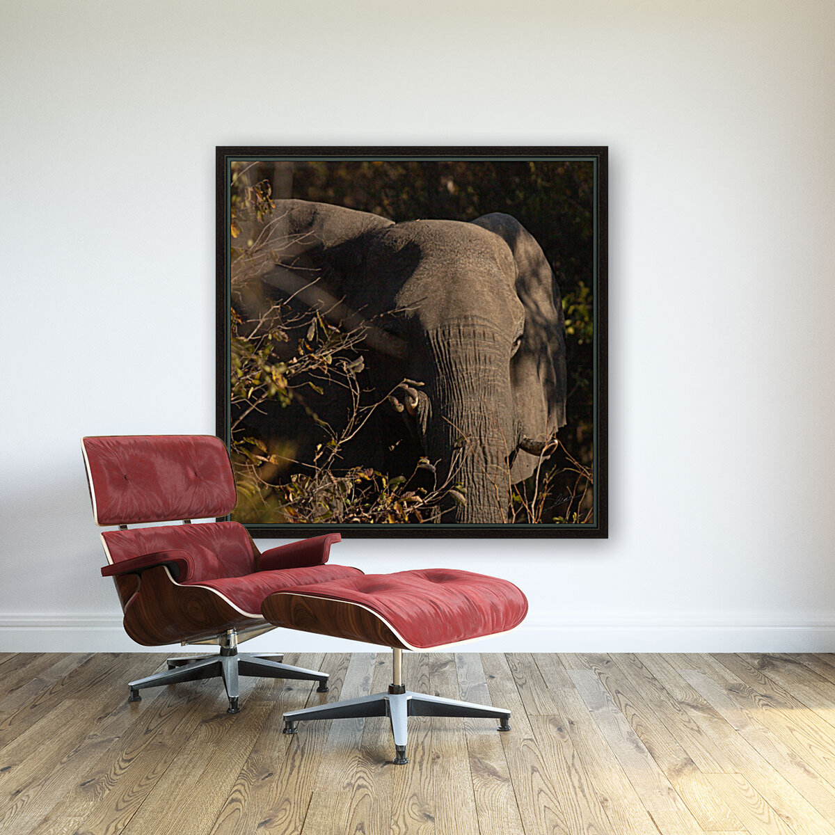 1192 - Elephant Reproduction