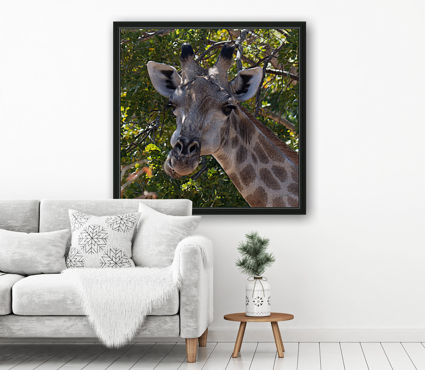 1152 - Giraffe portrait  Reproduction