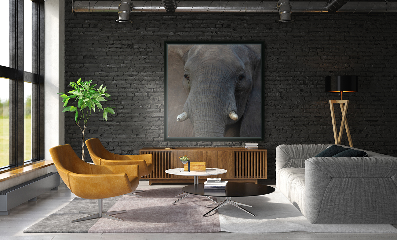 1195 - Elephant Portrait  Reproduction