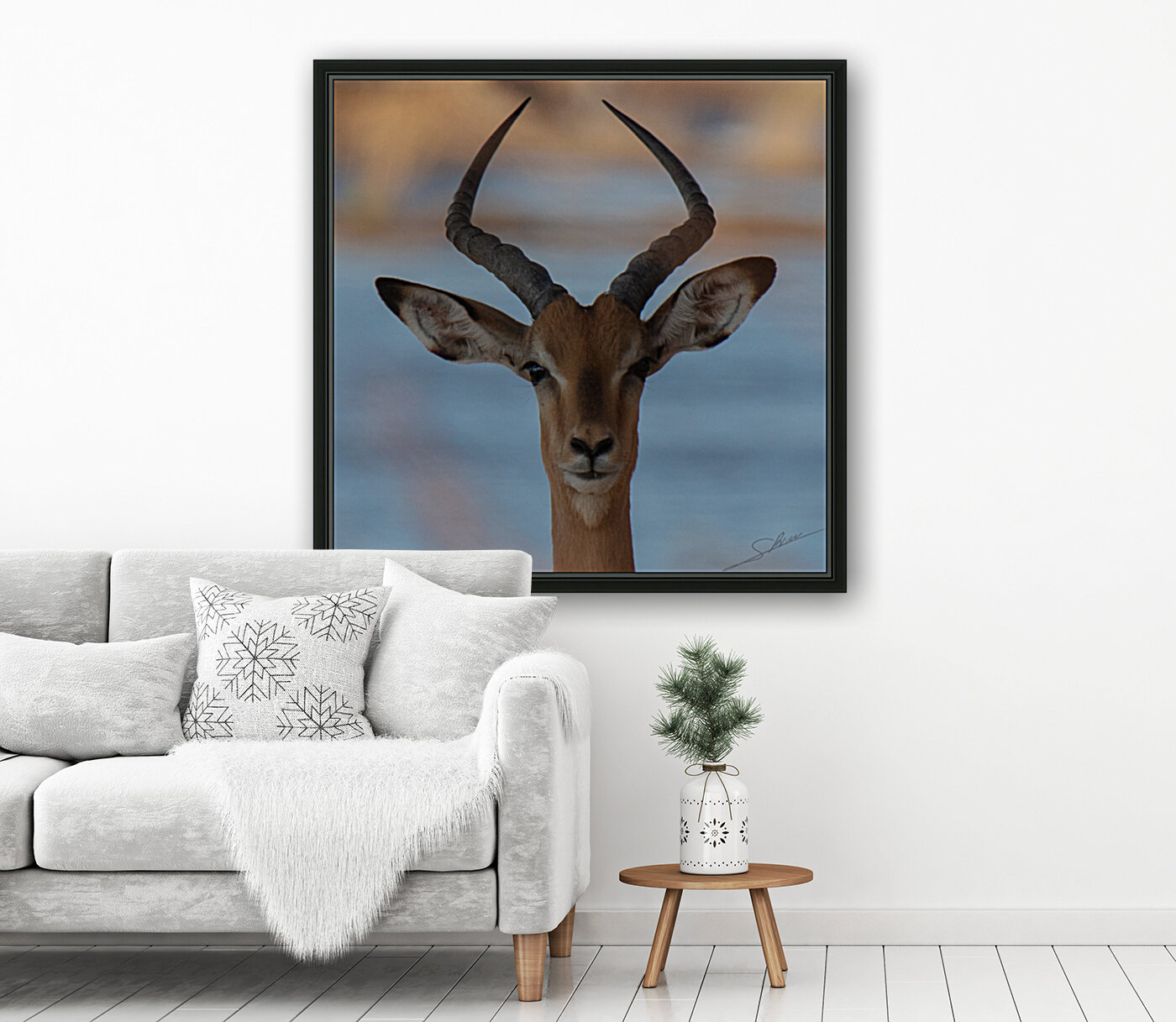 1153 - Impala Reproduction