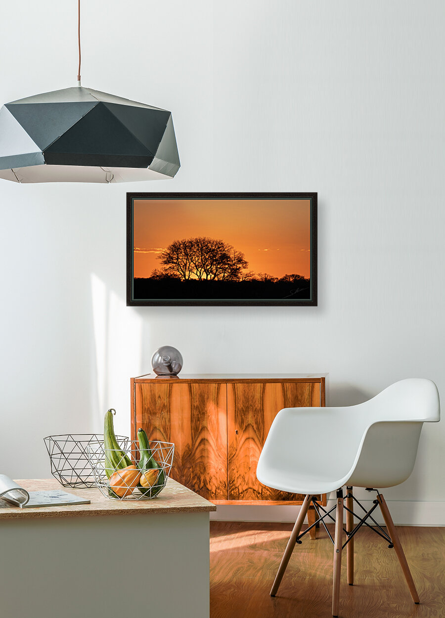 1145 - Sunset  Reproduction