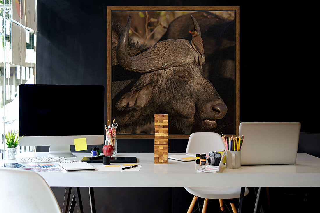1149 - Buffalo Reproduction