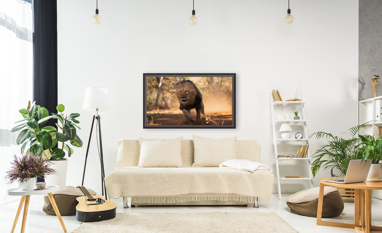 1158 - Running lion Reproduction